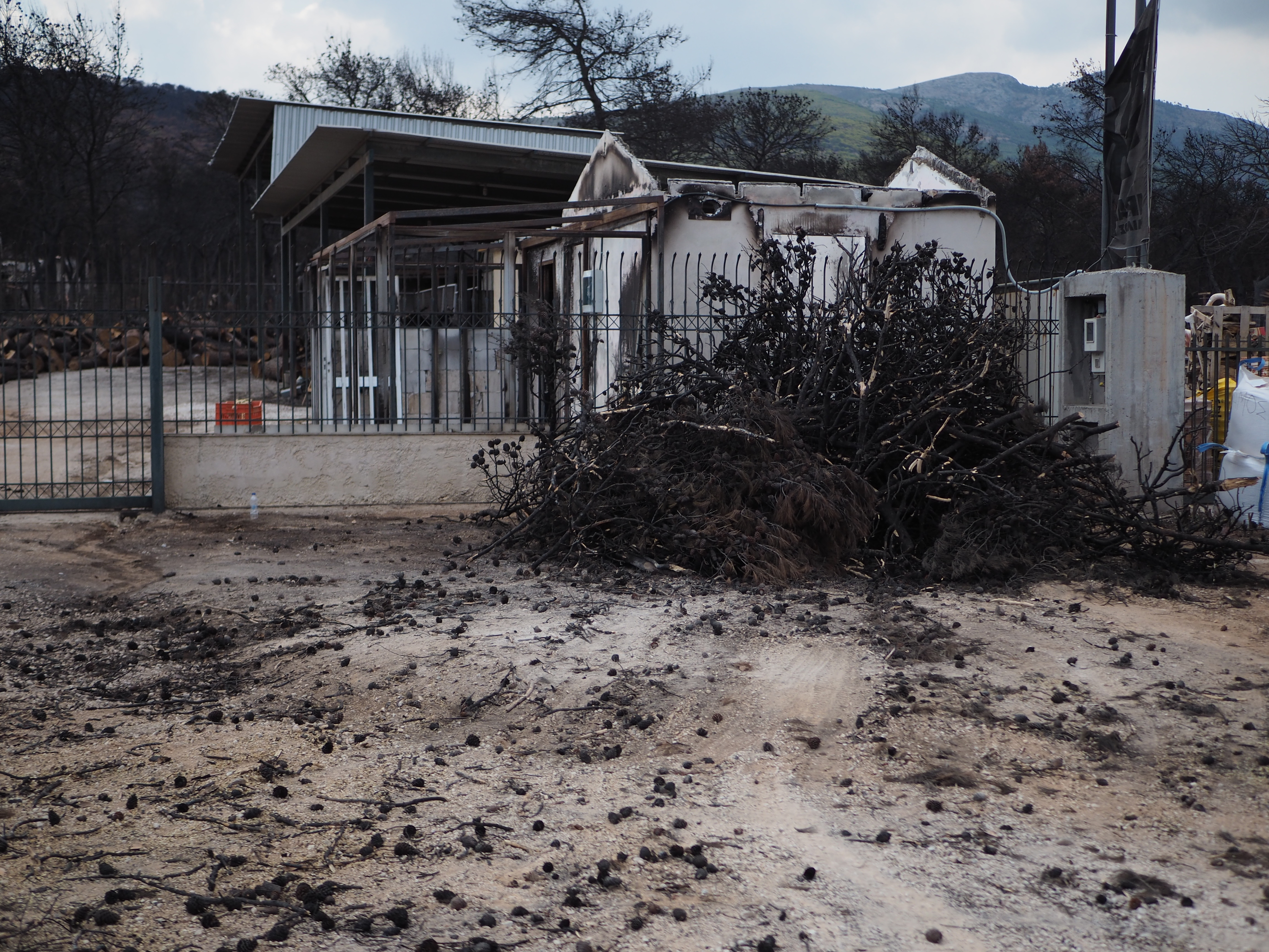 Langsamer Wiederaufbau nach der Brandkatastrophe – Einsatzbericht aus Griechenland